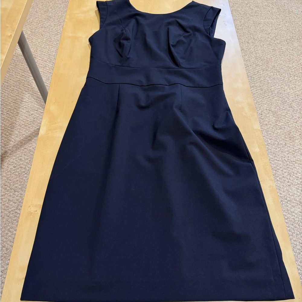 The Limited Midnight Blue Dress